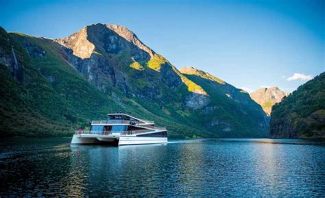 guided fjord tours as